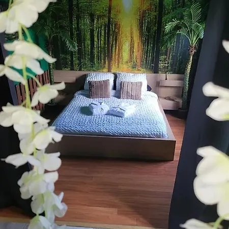 Coqueo & Sauna Paris Disneyland Holiday home Lizy-sur-Ourcq
